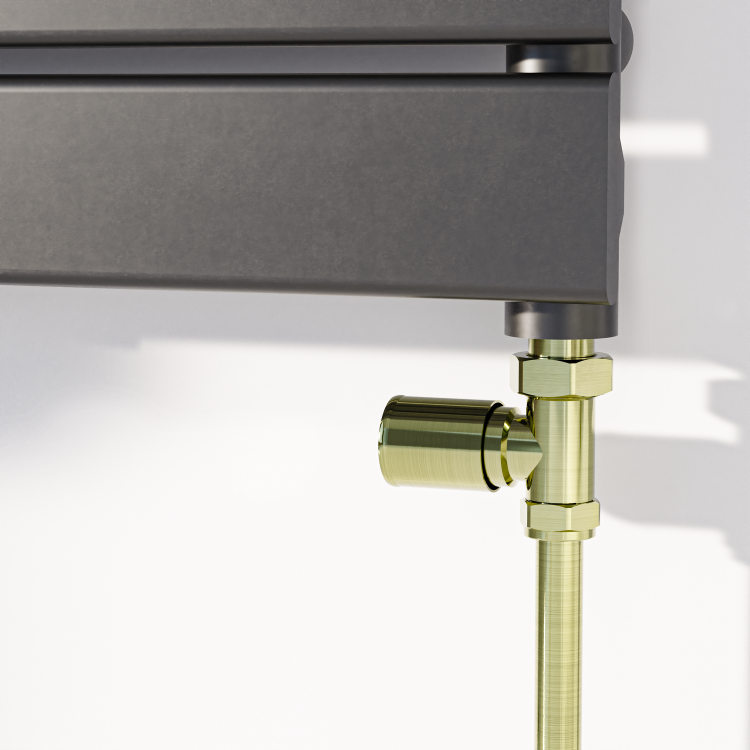 Elego Brushed Brass Modern Manual Straight Radiator Valves (pair)