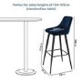 Navy Blue Velvet Bar Stool with Back - 77cm - Macie
