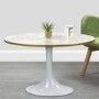 White Marble High Gloss Coffee Table in Oval Tulip Shape