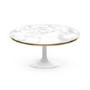 White Marble High Gloss Coffee Table in Oval Tulip Shape