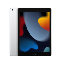 Apple iPad 2021 10.2" Silver 256GB Wi-Fi Tablet