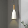Matte White Cloche Pendant Light - Destin