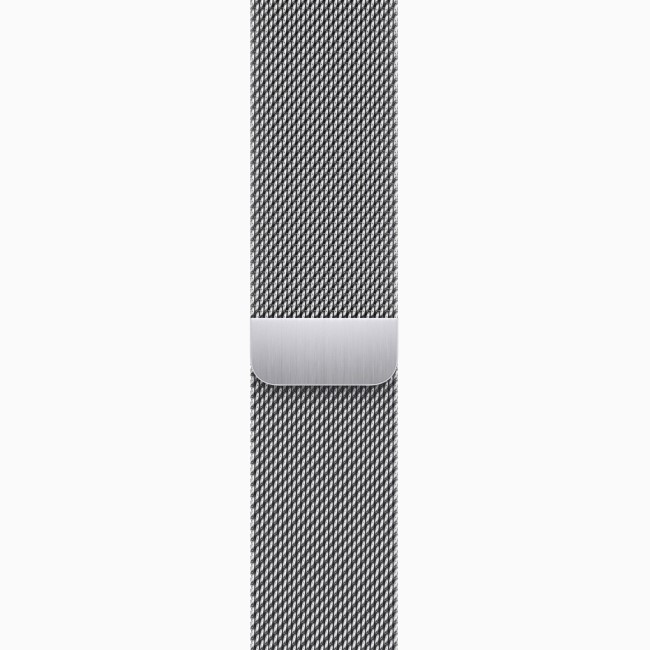 Apple Watch Series 9 GPS + Cellular 41mm Silver Stainless Steel Case with  Silver Milanese Loop