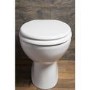 GRADE A1 - Standard Soft close High Gloss MDF Toilet Seat - Bottom Fix