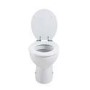 GRADE A1 - Standard Soft close High Gloss MDF Toilet Seat - Bottom Fix