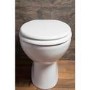 GRADE A1 - Standard Soft close High Gloss MDF Toilet Seat - Bottom Fix