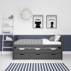Matisse Captain&#39;s Guest Bed in Dark Grey/Anthracite - Trundle Bed Included
