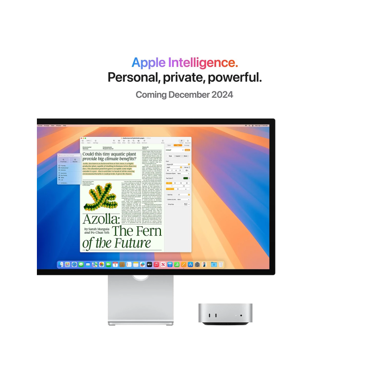 Apple Mac Mini M4 16GB RAM 256GB SSD 10-Core GPU - Silver