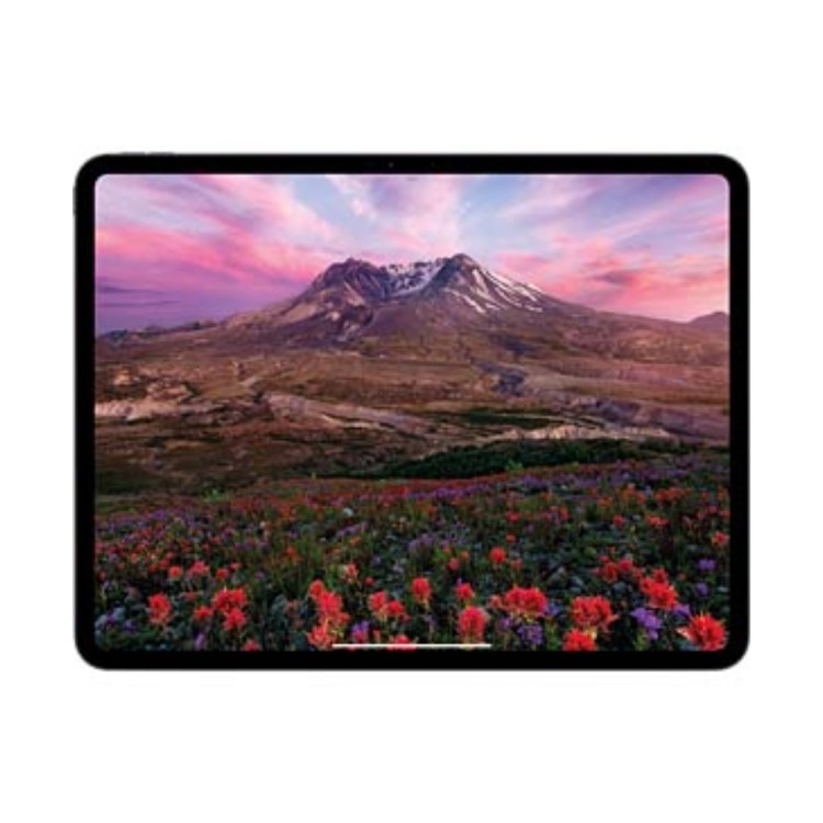 Apple iPad Pro 2024 13" Silver 1TB Wi-Fi Tablet