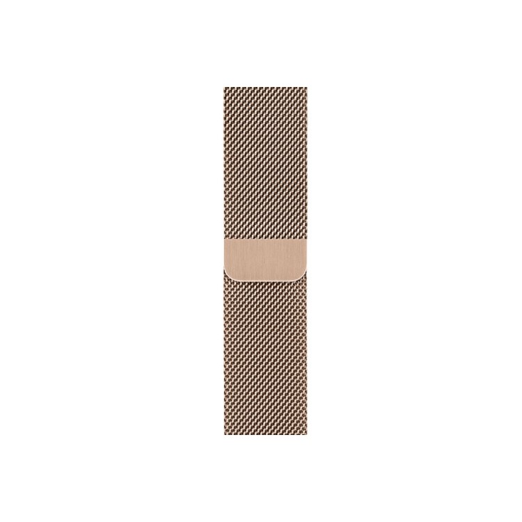 Apple Watch Series 5 GPS + Cellular 40mm Gold Stainless Steel Case with Gold Milanese Loop