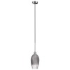 Silver Smoked Glass Cloche Pendant Light - Bloomfield