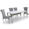 Set of 2 Silver Velvet Chairs with Mirrored Legs - By Vida Living