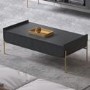 Large Dark Grey Coffee Table with Storage - Olis