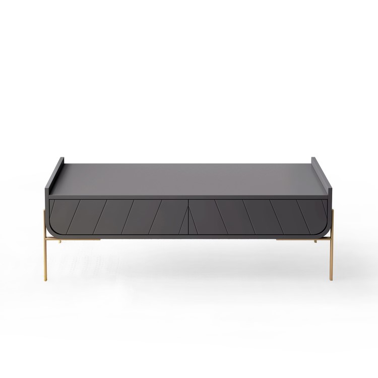 Large Dark Grey Coffee Table with Storage - Olis