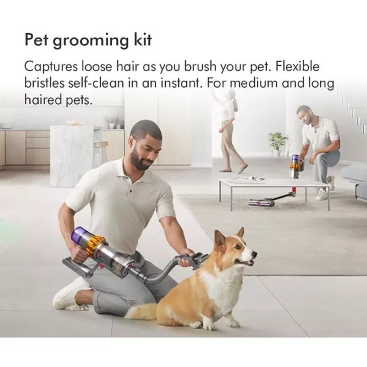 Dyson Pet Grooming Kit