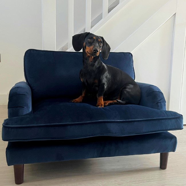 Pet Sofa Bed In Blue Velvet Suitable