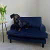 Pet Sofa Bed in Blue Velvet - Suitable for Dogs &amp; Cats - Payton