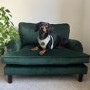 Payton Green Velvet Pet Sofa - Suitable for Dogs & Cats