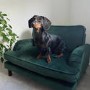 Payton Green Velvet Pet Sofa - Suitable for Dogs & Cats