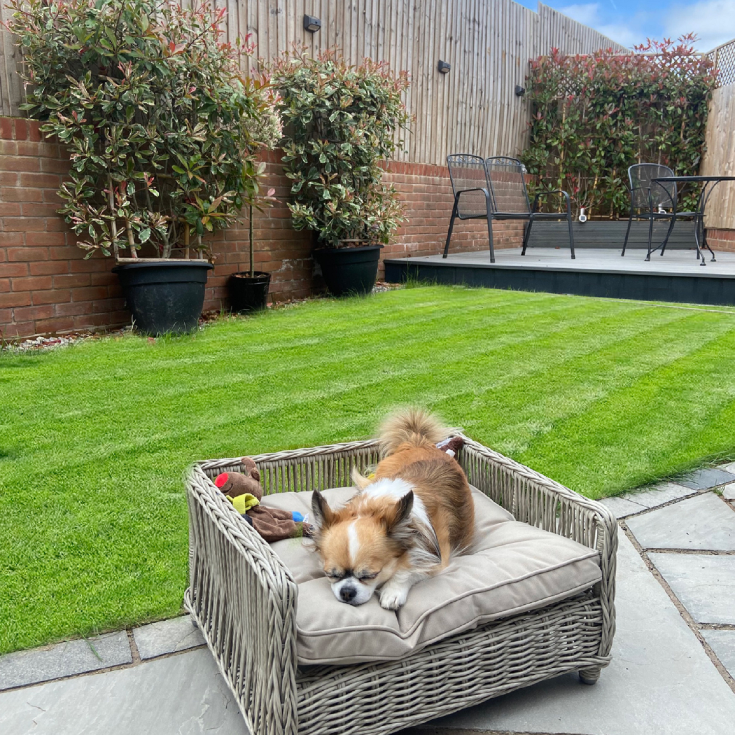 Small Rattan Outdoor Pet Bed BuyItDirect.ie