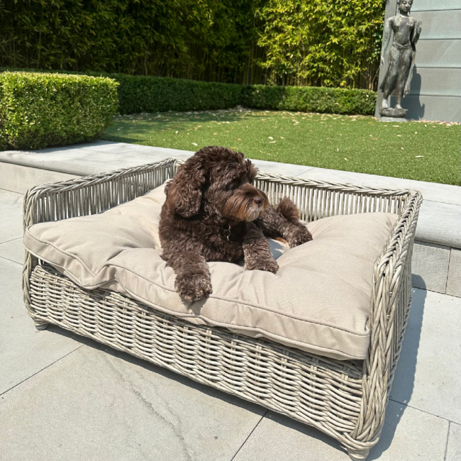 Medium Rattan Pet Bed