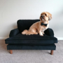 Payton Black Velvet Pet Sofa - Suitable for Dogs & Cats