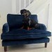 Payton Blue Velvet Pet Sofa - Suitable for Dogs & Cats