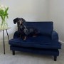 Payton Blue Velvet Pet Sofa Bed - Suitable for Dogs & Cats