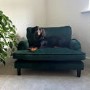 Dog Sofa Bed in Green Velvet - Payton