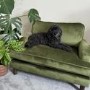 Payton Olive Green Velvet Pet Sofa Bed - Suitable for Dogs & Cats