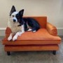 Dog Sofa Bed in Orange Velvet - Payton