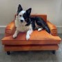 Dog Sofa Bed in Orange Velvet - Payton