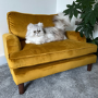 Pet Sofa Bed in Mustard Velvet - Suitable for Dogs & Cats - Payton