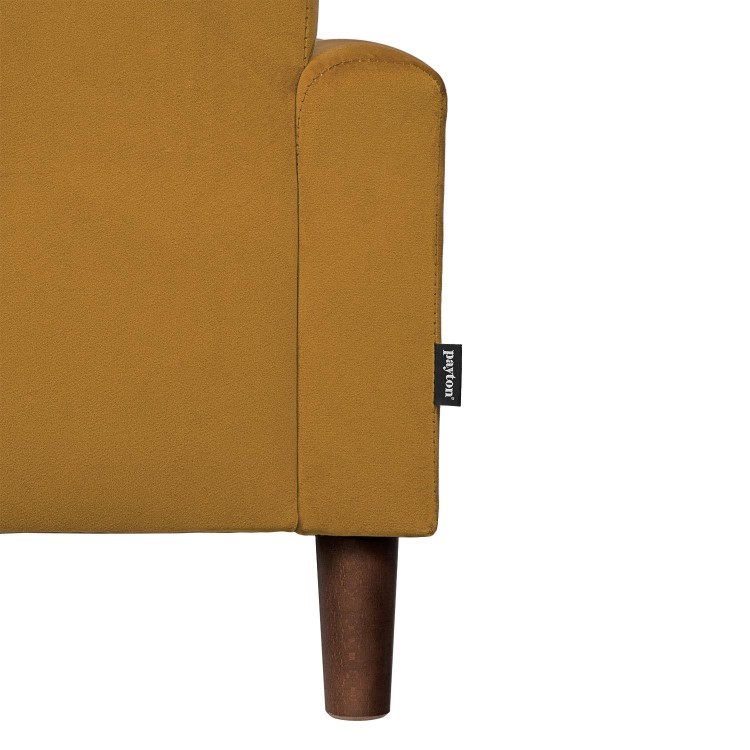 Mustard Yellow Velvet Kids Armchair - Payton