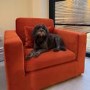 Hudson Burnt Orange Velvet Pet Sofa Bed - Suitable for Dogs & Cats