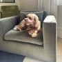 Hudson Khaki Green Velvet Pet Sofa Bed - Suitable for Dogs & Cats
