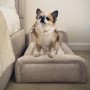 Small Dog Bed in Cream Textured Fabric with Washable Cover - Naomi