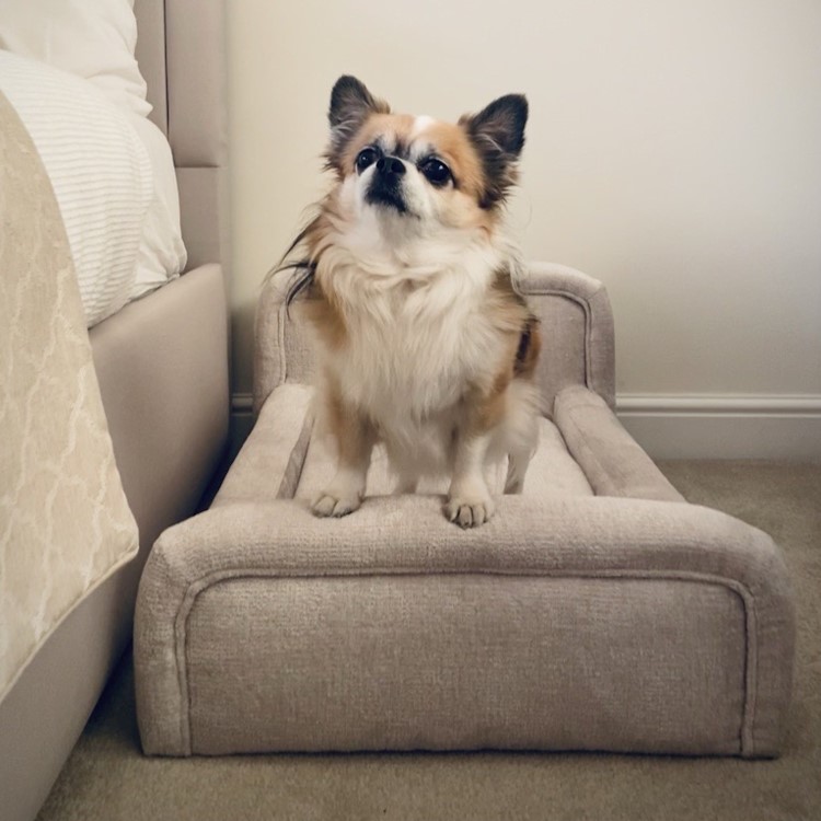 Small Dog Bed in Cream Textured Fabric with Washable Cover - Naomi