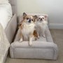 Small Dog Bed in Cream Textured Fabric with Washable Cover - Naomi