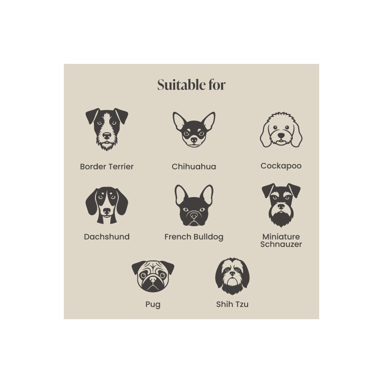 Small Dog Bed in Cream Textured Fabric with Washable Cover - Naomi