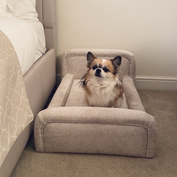 Small Dog Bed in Cream Textured Fabric with Washable Cover - Naomi