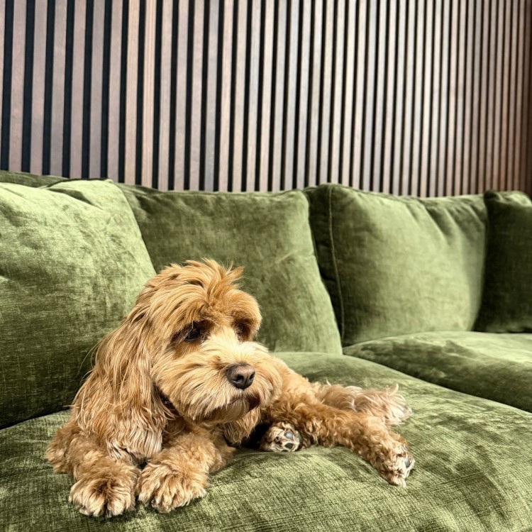 Moss Green Chenille Feather-Filled 3-Seater Sofa - Payton Heritage