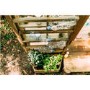 Plum Discovery Mud Pie Kitchen