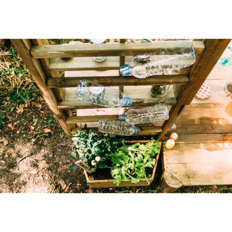 Plum Discovery Mud Pie Kitchen