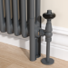 Reggio Anthracite Two Column Traditional Radiator Feet