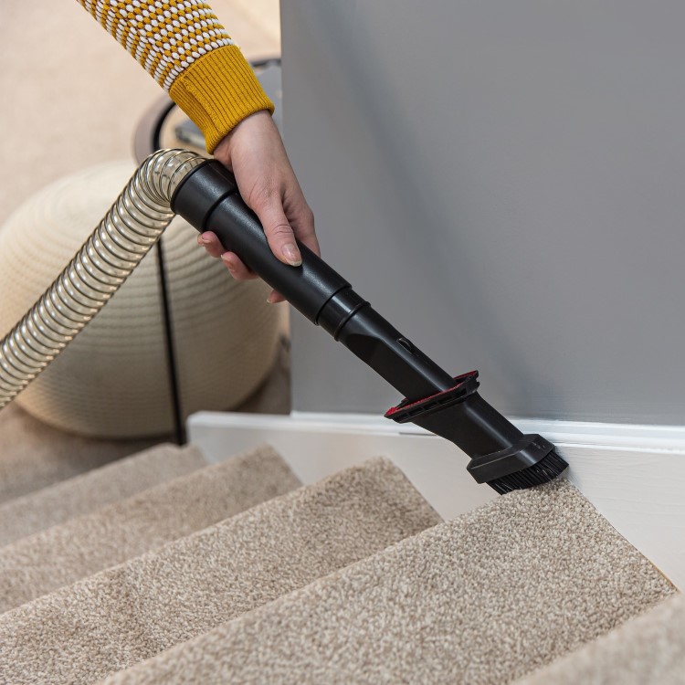 Russell Hobbs RHUV5601 UV5601 Athena 2 Pet Upright Vacuum Cleaner