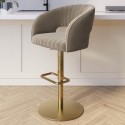 RUN006 Curved Mink Matt Velvet Adjustable Swivel Bar Stool with Gold Base - Runa