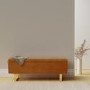Burnt Orange Velvet Ottoman Storage Bench - Shea