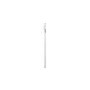 Samsung Galaxy Tab S10 FE+ 5G 13.1" Silver 256GB 5G Tablet