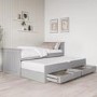 Single Grey Wooden Guest Bed with Storage and Trundle - Sander